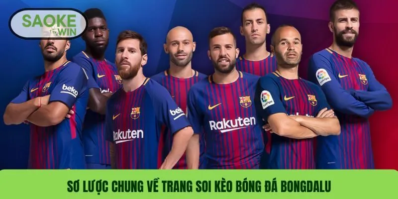 Sơ lược chung về trang soi kèo bóng đá Bongdalu